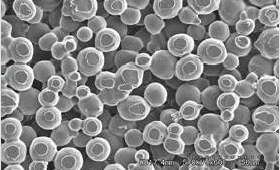 でもその中身は、連続気孔の三次元網状の多孔質体